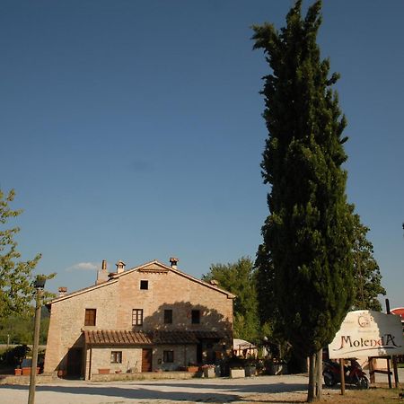 Molenda B&B Città di Castello Eksteriør bilde