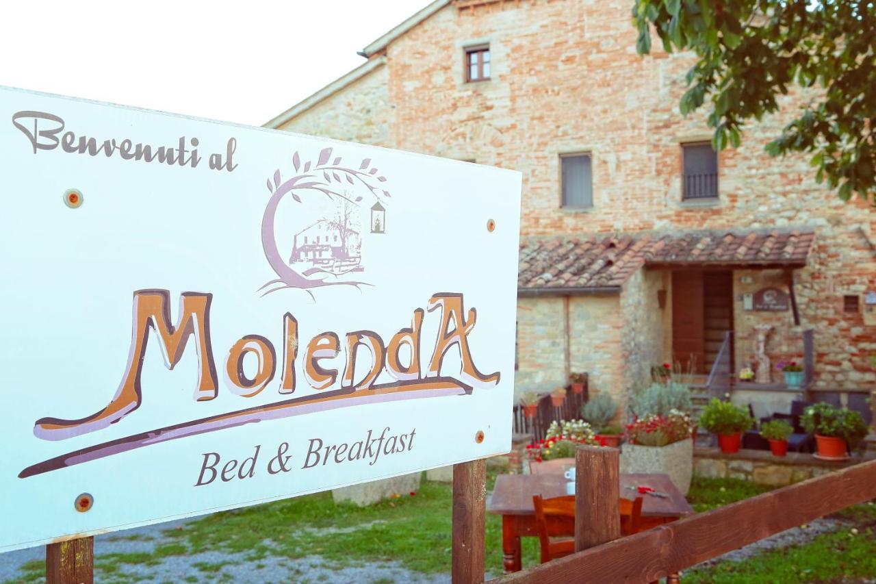 Molenda B&B Città di Castello Eksteriør bilde